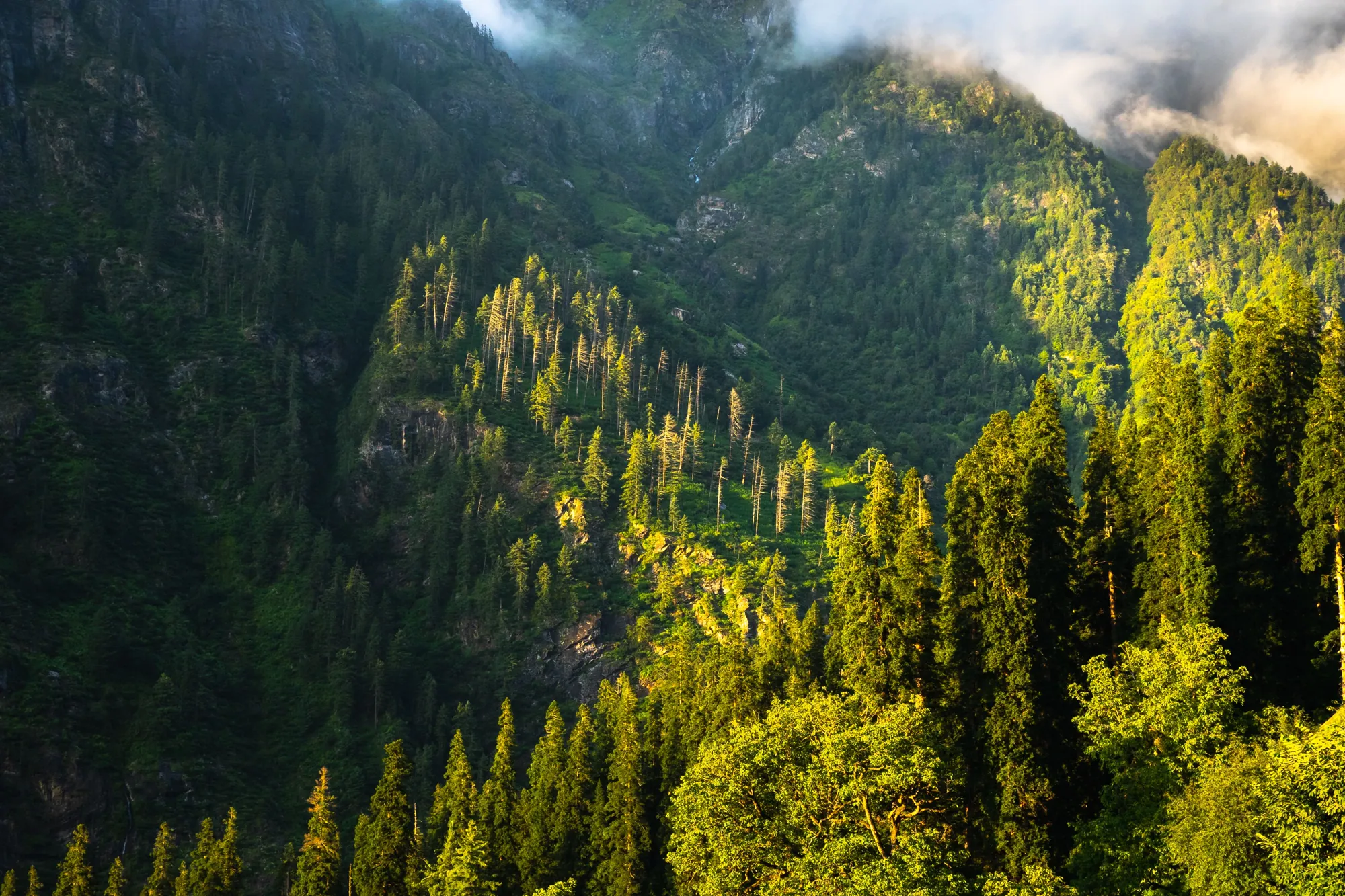 Kheerganga, Himachal