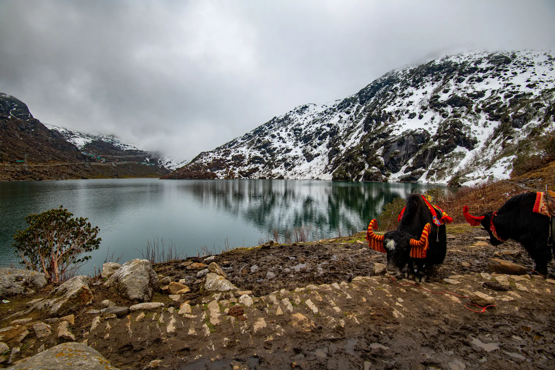 Tsomgo Lake, Sikkim