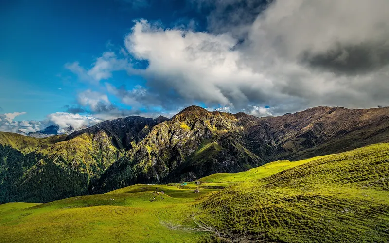 Ali–Bedni Bugyal Trek: Bedini Bugyal
