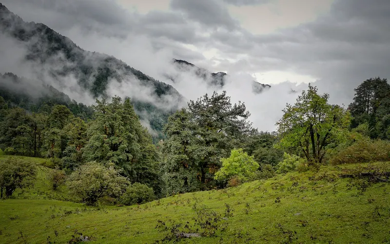Dayara Bugyal Trek: Dayara Bugyal Trek